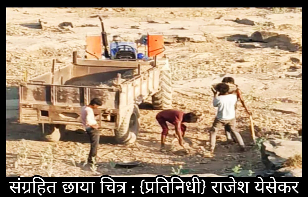 भद्रावतीत अवैध रेती तस्करीला महसूल विभागांचा आशीर्वाद?