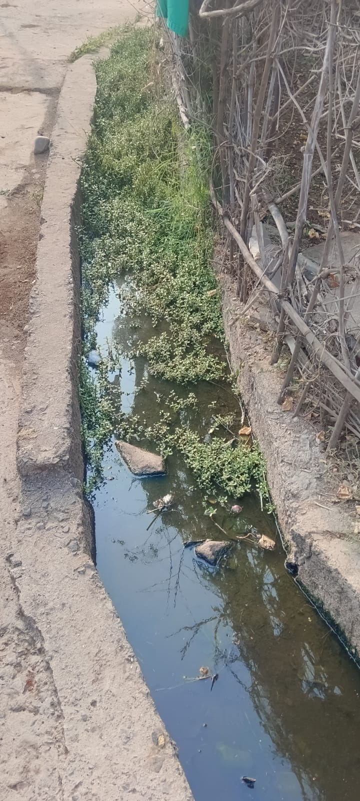 पिपर्डा ग्राम पंचायत घनकचरा व्यवस्थापन बोजवारा-गावात डासांचा प्रादुर्भाव