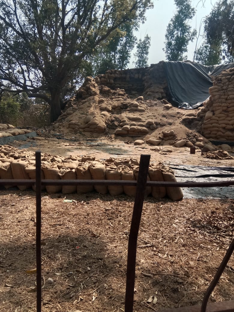 धान उचल करण्यासाठी शासनाच्या जाचक अटी. धानाची नासाडी.आमदारांचे दुर्लक्ष