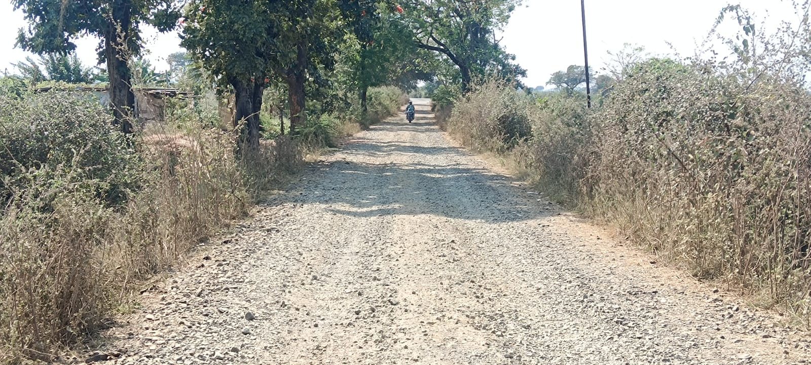 आदर्श ग्राम पिपर्डाची.रस्त्याची दुरवस्था अप्रोच रस्त्यासाठी निधि द्या