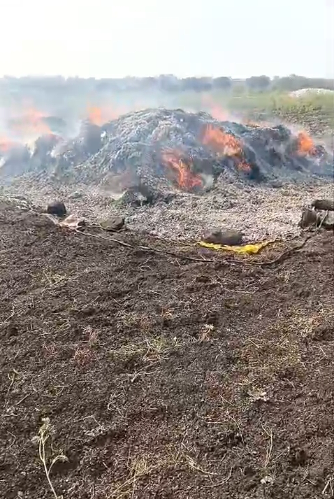 लिंबाळा येथे दलित शेतकऱ्याला कुटुंबासह अमानुष मारहाण-३.५ लाखांचा हरभराही पेटवला