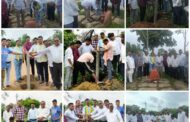 आमदार डॉ. मिलिंद नरोटे यांचे प्रयत्नाने 35 वर्षाअखेर गोटूल भूमी जागे चा प्रश्न मार्गी