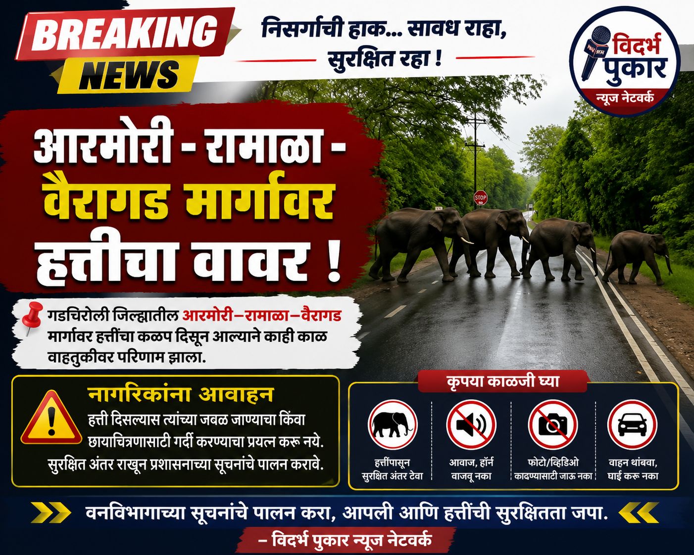 आरमोरी - रामाळा वैरागड मार्गावर हत्तीचा वावर !