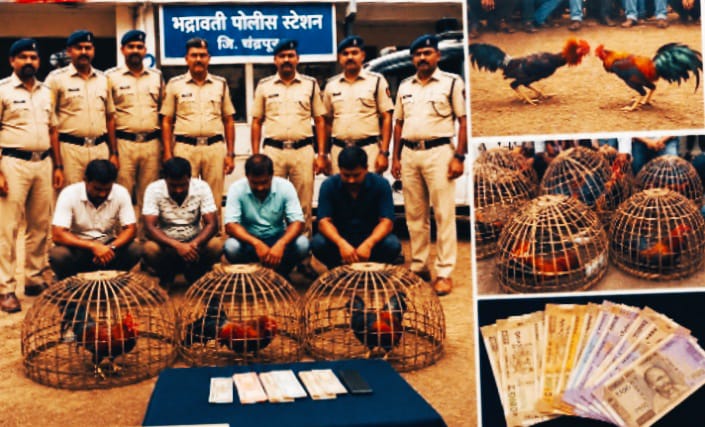 कोंबड्यांच्या झुंजीवर जुगार खेळणाऱ्या 4 जणांना अटक