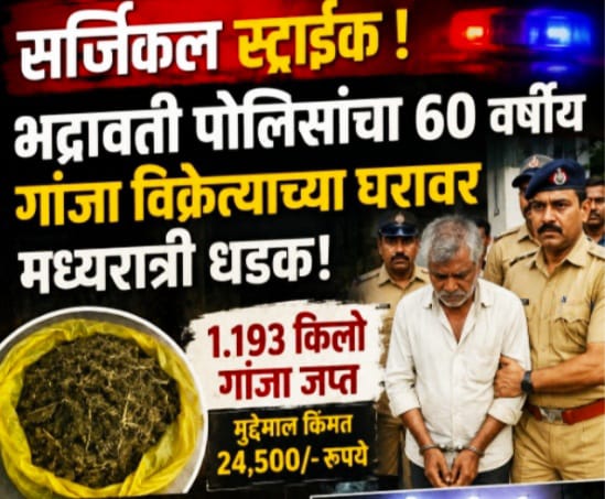 भद्रावती पोलिसांचा 'सर्जिकल स्ट्राईक' : 60 वर्षीय गांजा विक्रेत्याला अटक