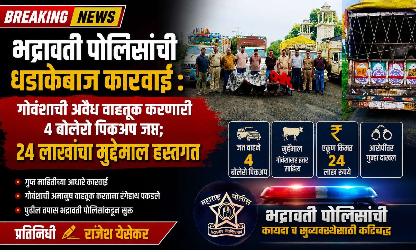 भद्रावती पोलिसांची धडाकेबाज कारवाई : गोवंशाची अवैध वाहतूक करणारी 4 बोलेरो पिकअप जप्त; 24 लाखांचा मुद्देमाल हस्तगत