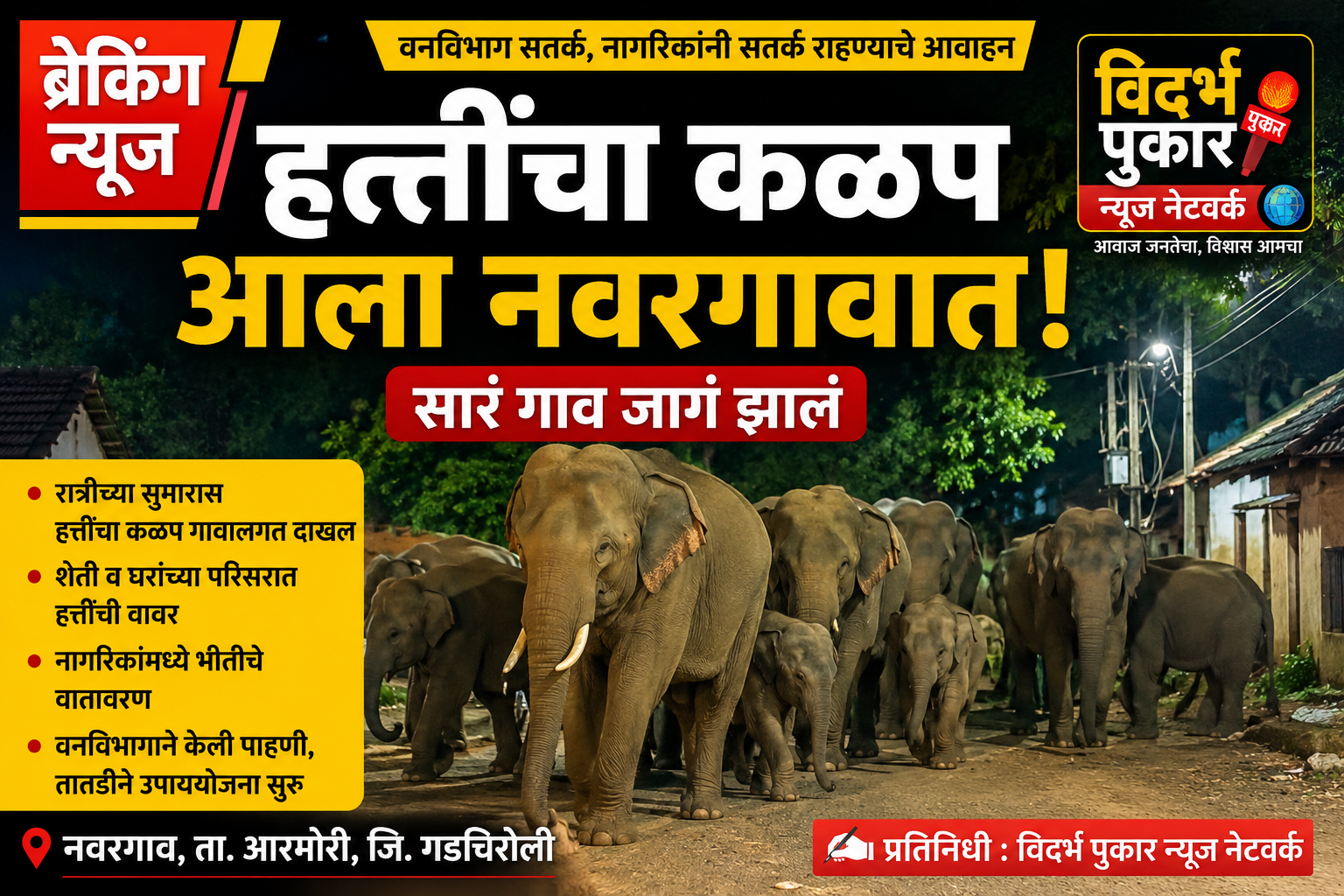 हत्तीचा कळप आला नवरगावांत , सारं गाव जाग झालं.