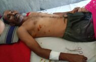 पोर्लाचे भाऊराव म्हशाखेत्री यांना वाघाने हल्ला करून केले जखमी