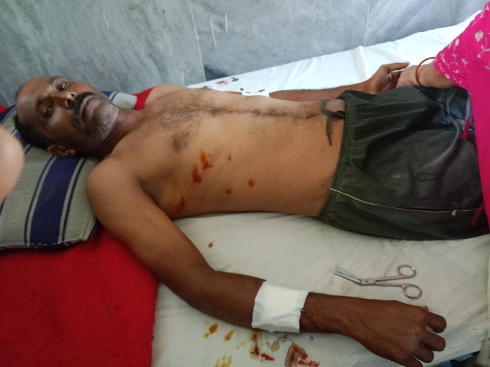 पोर्लाचे भाऊराव म्हशाखेत्री यांना वाघाने हल्ला करून केले जखमी